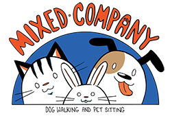 Free pet care consultation provided by Mixed Company